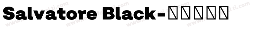 Salvatore Black字体转换
